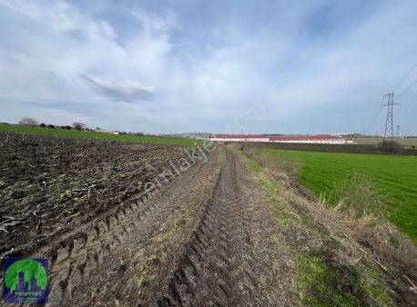 Balıkesir Göbel'de Fırsat 4875m2 Yatırımlık Tarla