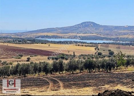 Kaleboynu'nda Kaçırılmayacak Fırsat