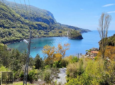 Cide Gideros Koyunda Mükemmel Konumda Satılık Tarla