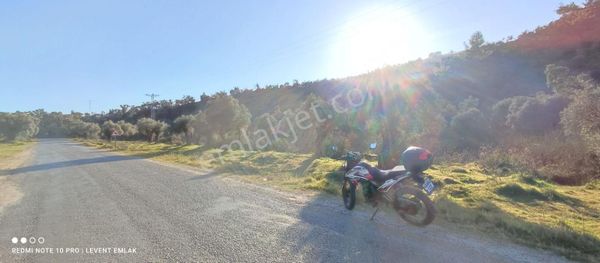 Milas Selimiye Kandak Mevkiinde Asfalta Cepheli Satılık Arazi