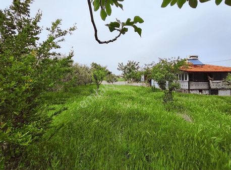 Mat' Tan Hisar İçerisinde Ağaç Ve Müstakil Bulunan 860 M2 Arsa