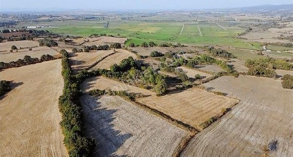 Çanakkale Biga Yanıç Köyü 3500 M2 Satılık Arazi