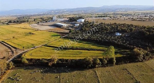 Çanakkale Biga 12.110 M2 Soğuk Hava Deposu İmarlı Arsa