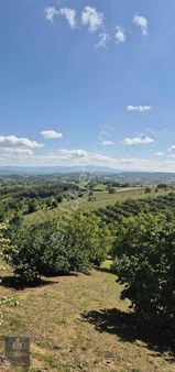 Düğmeciler Mh Yetişkin Fındıklık Resmi Yollu %5 İmarlı Arazi