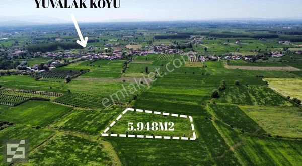 Sancak Emlak'tan Satılık Tarla