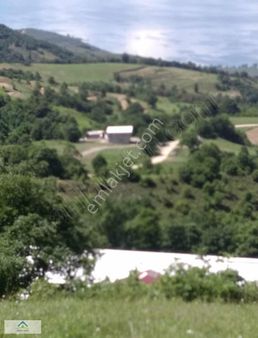 Bursa Yenişehir Kirazlıyayla 'da 5954-m2 Tek Tapu İznik Gölü Man