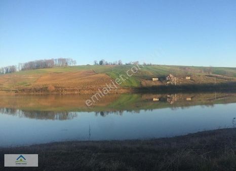 Derince Çavuşlu'da 2228 M2 Tek Tapu Acil Satılık