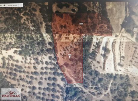 Acil Fırsat Mordoğanda 2 Tarla 9431 M2 Köy Yakını Mkd Emlak