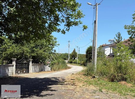 Samsun Çarşamba Melik Mahallesinde Satılık Fındıklık Tarla