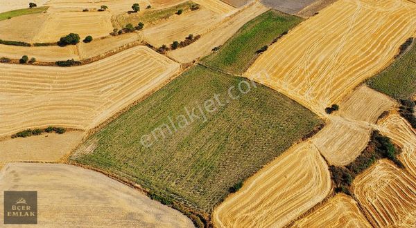Üçer Emlak'tan Babaeski Kofalça (mutlu) Köyünde Satılık Arazi