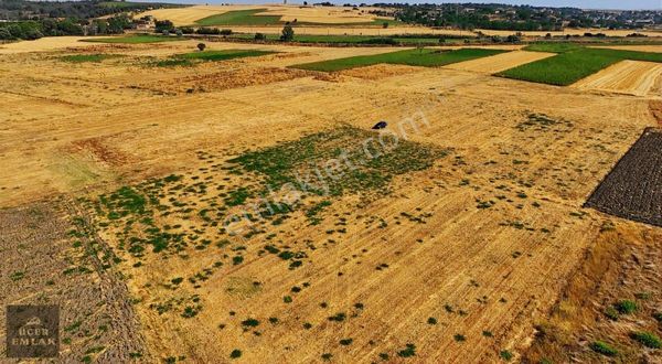 Babaeski Düğüncülü Köyü 2.910m2 Tek Tapu Kupon Tarla Satılık