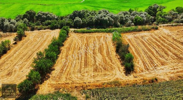 Kırklareli Pehlivanköy Kurtuluş'ta Satılık 2.814 M² Tarla