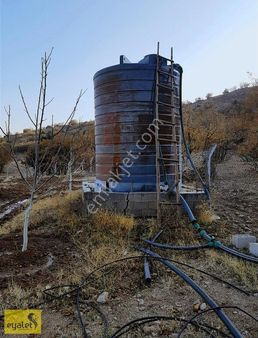 Karadiğinde Ceviz Bahçeli Müstakil Çiflik