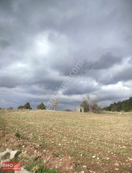 Gho'dan Denizli Çameli-elmalıda Tek Tapu 6,700 M2 Satılık Arazi.