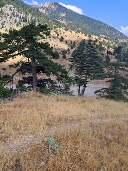 400 M² Satılık Yayla Yerimiz