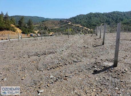 Özdemir Emlaktan Satılık Kök Hisseli 274 M2 Bahçe