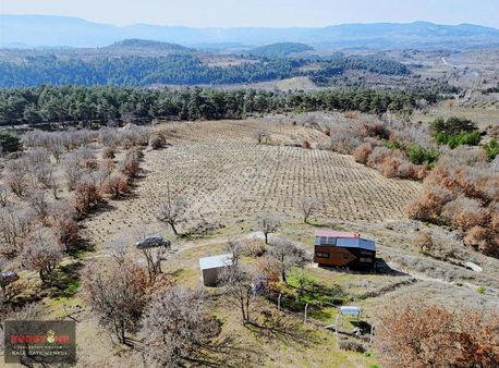 Kazdağları Bayramiç Köseler Satılık Üzüm Bağı