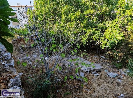 Çoklar Gayrimenkul'den Satılık 197 M2 İmarlı Müstakil Arsa