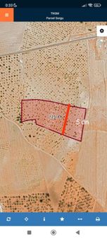 Akpınar'da Satılık 50 Yaşında Fıstıklık