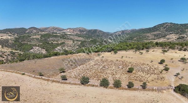 Çanakkale Ayvacık Naldökende 15 Dönüm Tarla Yatırıma Uygun
