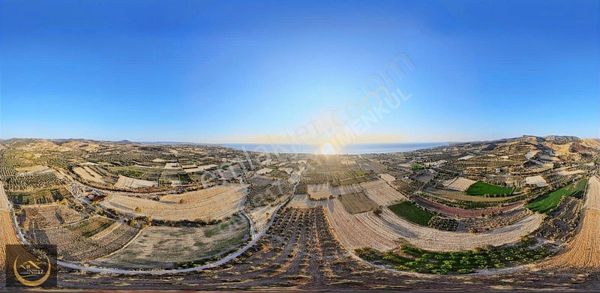 Çanakkale Ayvacık Kösedere Köyünde Satılık Tarla