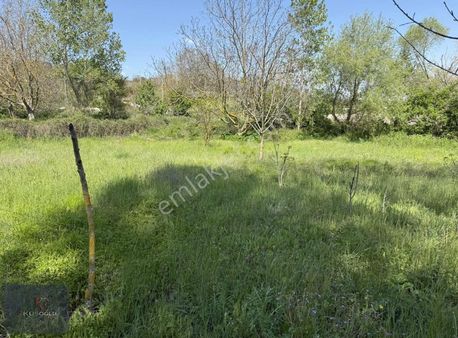 Vize Pazarlı Köyünde Yola Cephe Satılık Arsa