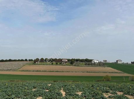 Ereğli Çeşmeli'de İmara Sıfır Hisseli Arsa