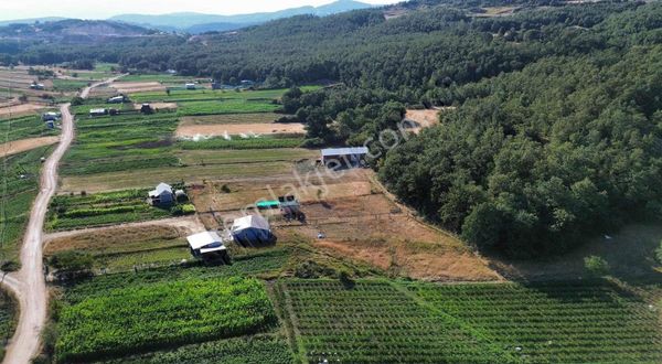 Nilüfer Güngörende Köy Merkezinde Bahçe