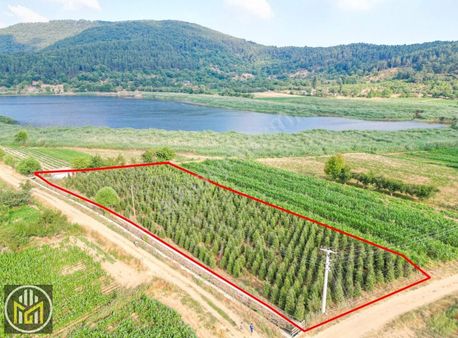 Ödemiş Gölcükte Göle Sıfır 2822 M2 Tarla