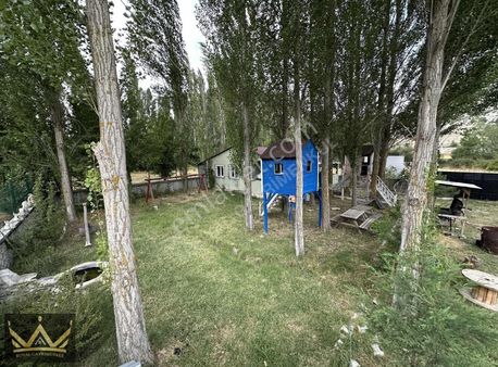 Royalden Porsukun Kalbinde, Doğayla İç İçe Eşsiz Bir Yaşam Alan