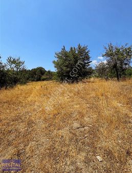 Resital Vizyondan Osmangazi Karaislah Ta Satılık Müstakil Tarla