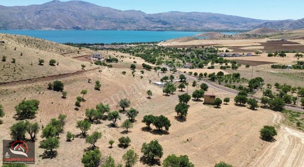 [acg] Sivrice Güney'de 6500 M2 Villa Yapımına Uygun Parsel