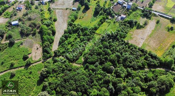 Kartepe İfraziyede Satılık Doğayla İç İçe Satılık Tek Tapu Arazi