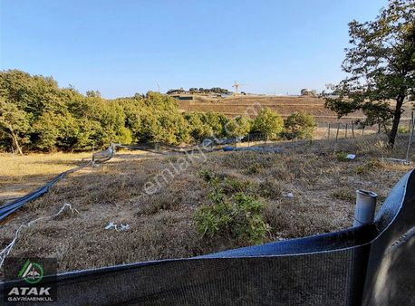 Gebze Denizli Köyünde Gölete Yakin Satılık Arazı