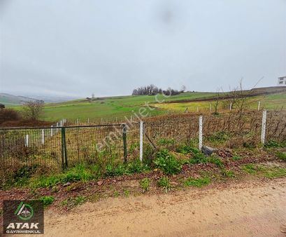 Derince Geredeli Köyünde Satılık Kupan Yer