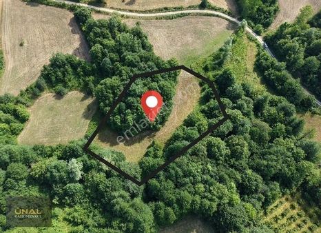 Kadastral Yol Cepheli 4.558 M² Yatırımlık Fırsat Tarla !