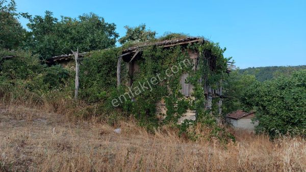 Taş Ev (ahşap) Ve 1.463 M² %40 2 Kat İmarlı Köy Arsası | Kazdağı Manzaralı Eskiyayla, Çan/çanakkale