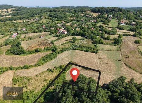 Sinop Erfelekte 4.503 M² Doğayla İç İçe Yatırımlık Tarla!