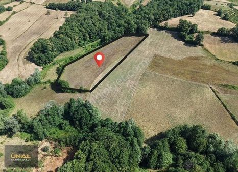 Sinop Erfelekte 9.873,43 M² Doğayla İç İçe Yatırımlık Tarla!