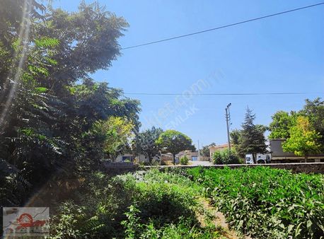 Niğde Bor Kızılca Da Satılık Müstakil Ev