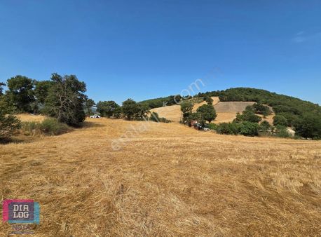 Balıkesir Gönen Kaplanoba Köyünde Yatırımlık Fırsat Arazi!