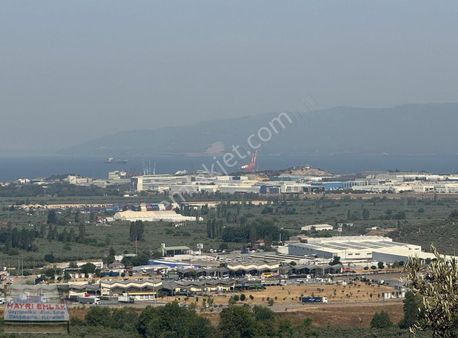 Gemlik Yeniköy De Manzaralı Satılık Zeytinlik