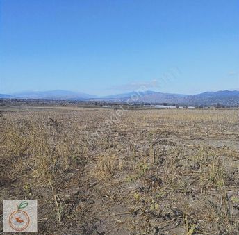 Tokat Erbaa Yatırım Fırsatı Kelepir Arazi