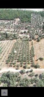 Doğayla İç İçe 5 Donum Tarla