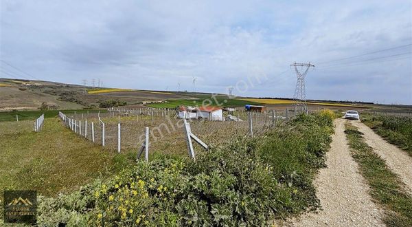 Silivri Fenerköy Yola Cephe 340m2 Telle Çevrili Satılık Arsa