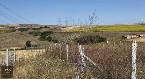 Silivri Fenerköy'de Çok Acil 340m2 Telle Çevrili Satılık Tarla