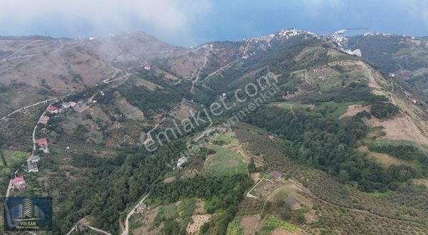 Vyg'den Özmersinde Deniz Manzaralı Satılık Müstakil Arsa