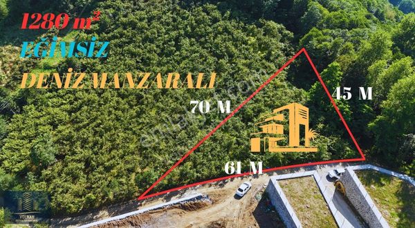 Mersinde 1280 M² Yola (61 M) Cephesi Olan Fırsat Arsa