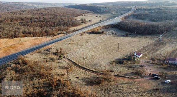 Esgyo'dan Şehir Merkezine 20 Dk Mesafede Asfalta Cephe 33 Dönüm