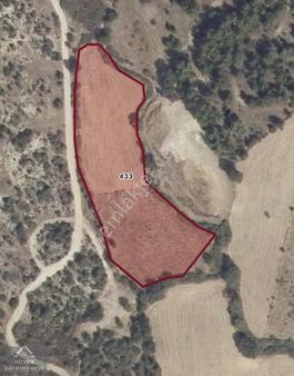 Vizyongayrimenkul De Dazyurt Mah.satılık Hisseli Tarla